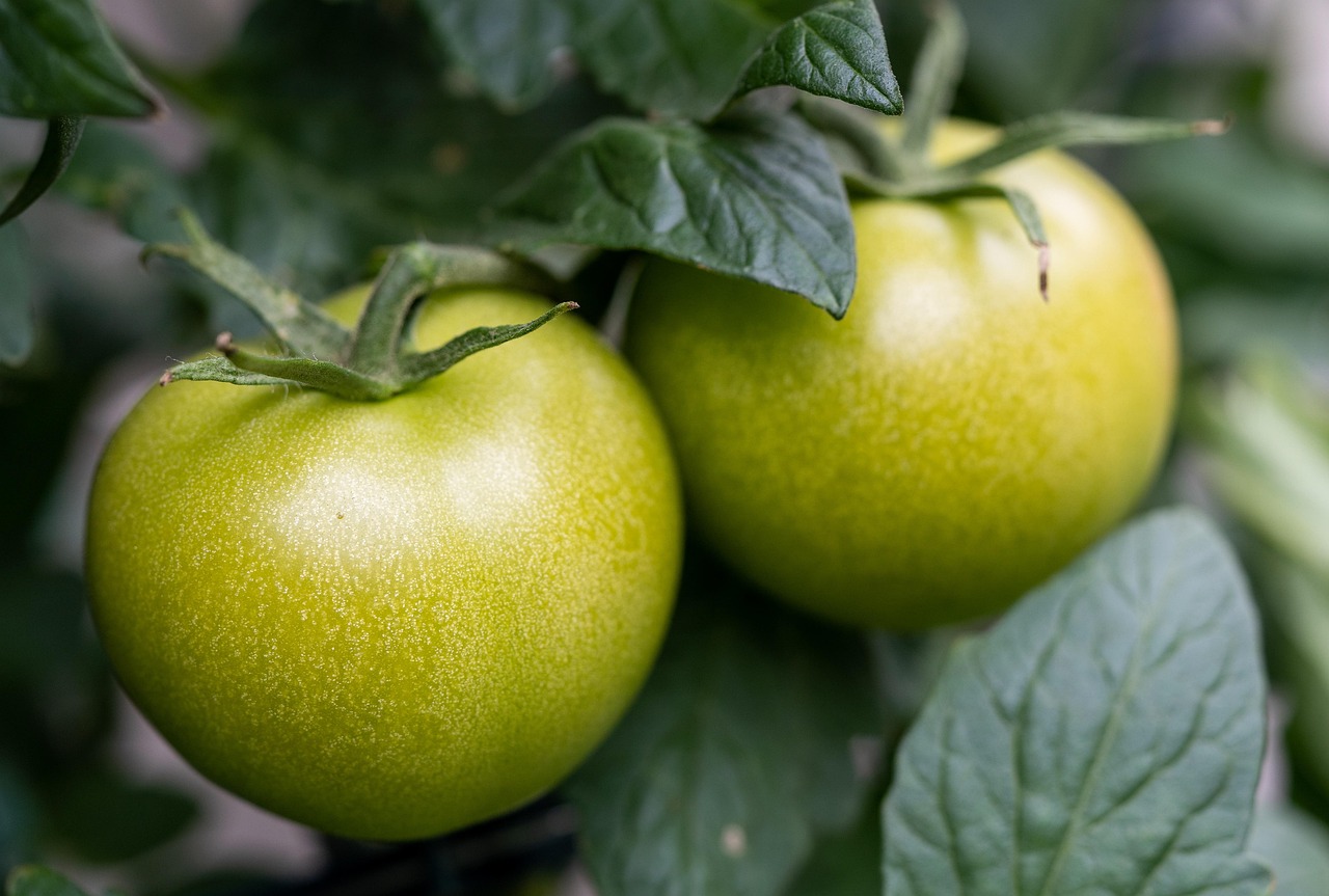 entdecken sie gesunde essensplanung: tipps und rezepte für ausgewogene mahlzeiten, einfache vorbereitung und nachhaltige ernährung. starten sie jetzt in einen gesünderen alltag!